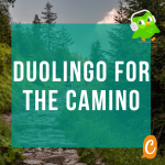Duolingo to learn Spanish for the Camino?