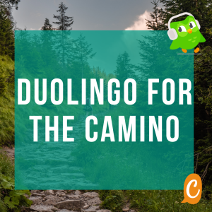 Read more about the article Duolingo to learn Spanish for the Camino?
